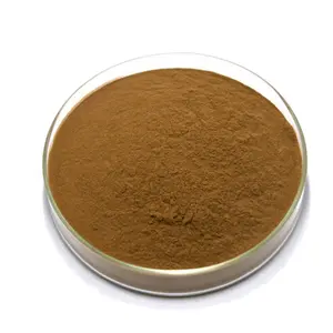 Semen Ziziphi Spinosae Extract Powder Semen Ziziphi Spinosae Extract Powder