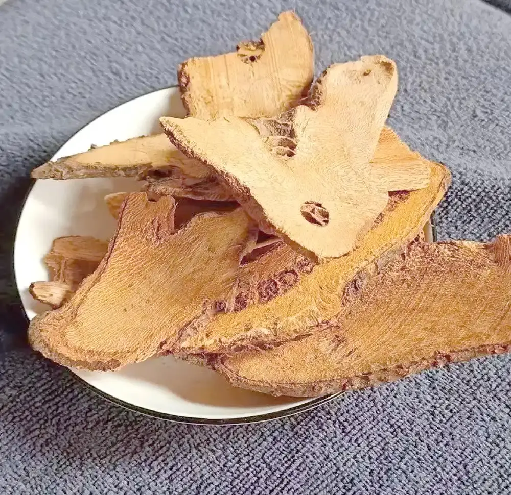 Polygonum cuspidatum