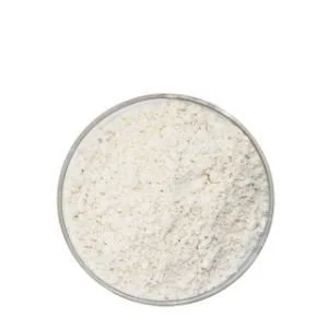 Pure Chitosan Powder Pure Chitosan Powder