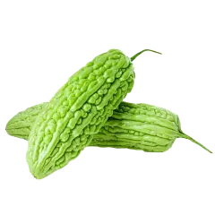 Bitter melon powder Bitter melon powder