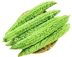bitter melon powder bitter melon powder