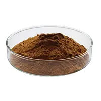 Bitter Melon Powder Bitter Melon Powder