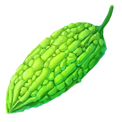 Bitter Melon Powder Bitter Melon Powder