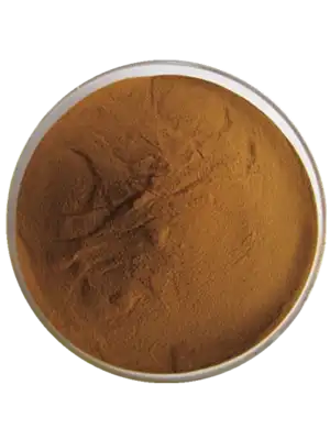 schisandra berry extract schisandra berry extract