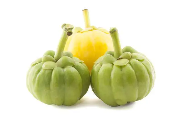 Garcinia Cambogia Extract Powder Garcinia Cambogia Extract Powder