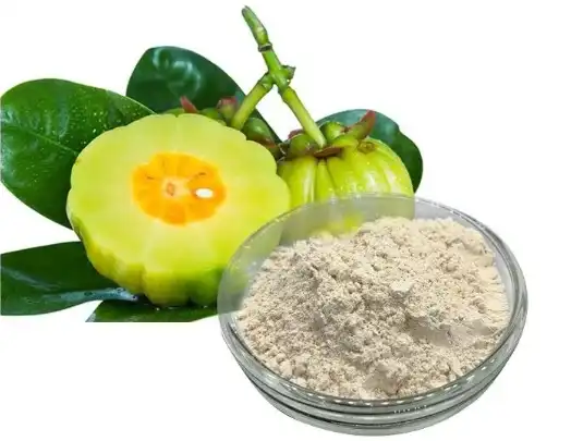 Garcinia Cambogia Extract Powder Garcinia Cambogia Extract Powder