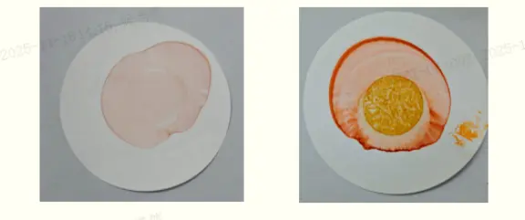 Filter Paper Residue Comparison Filter Paper Residue Comparison