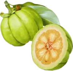 Garcinia Cambogia Extract Powder Garcinia Cambogia Extract Powder