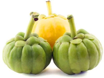 Garcinia Cambogia Extract Powder Garcinia Cambogia Extract Powder