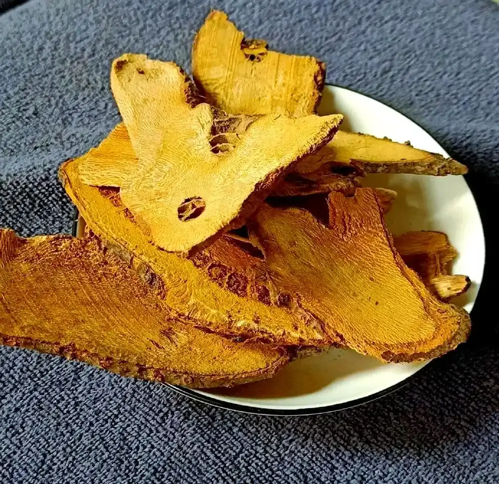 Polygonum cuspidatum Polygonum cuspidatum