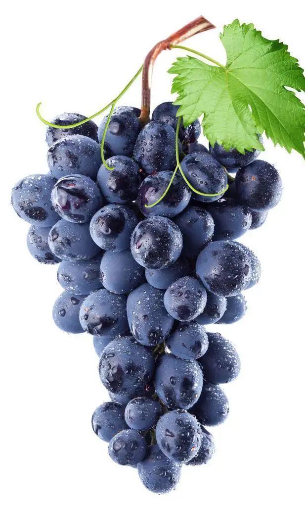 grape grape