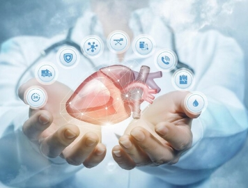 Cardiovascular Health Cardiovascular Health