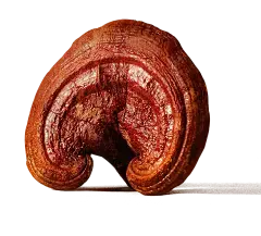 Ergosterol Powder Ergosterol Powder