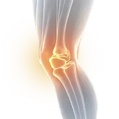 Bone Health Bone Health