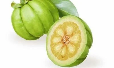 Garcinia Cambogia Extract Powder Garcinia Cambogia Extract Powder