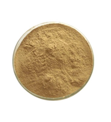 Echinacea Purpurea Extract Powder Echinacea Purpurea Extract Powder