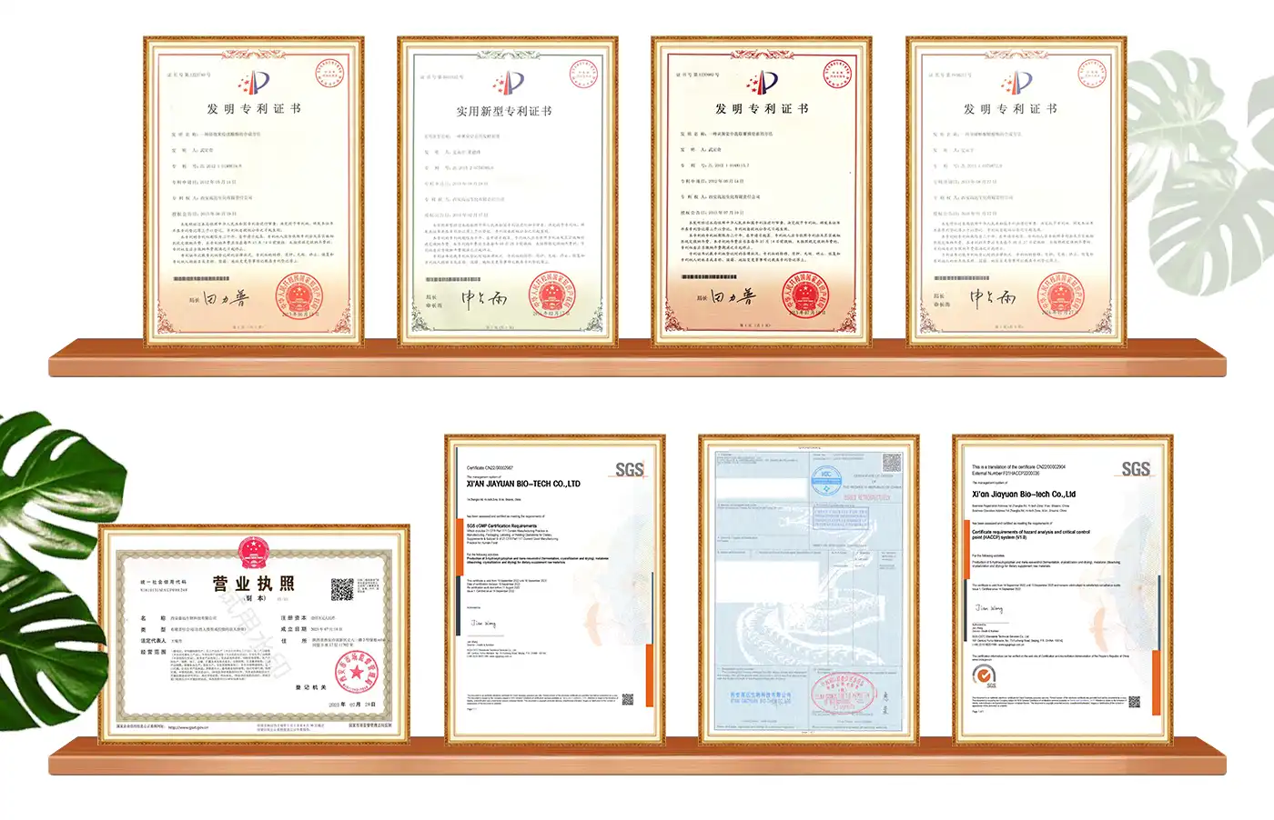 Pure Retinol Powder Certificates Pure Retinol Powder Certificates