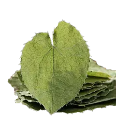 Epimedium Extract Powder Epimedium Extract Powder