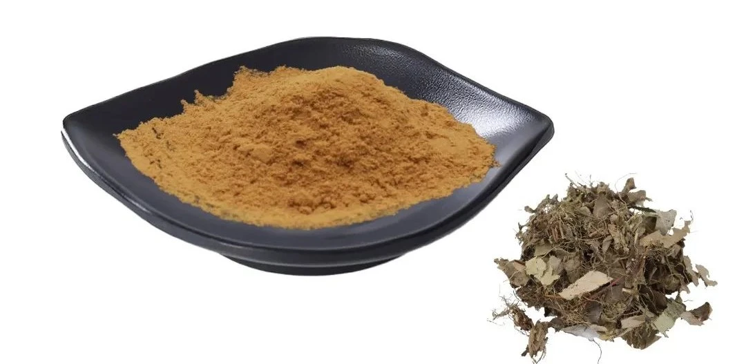 Epimedium Extract Powder Epimedium Extract Powder