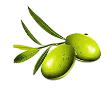 Pure Jojoba Oil Pure Jojoba Oil