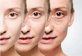 Echinacea Purpurea Extract Powder Benefits Echinacea Purpurea Extract Powder Benefits