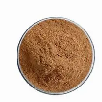 Echinacea Purpurea Extract Powder Echinacea Purpurea Extract Powder