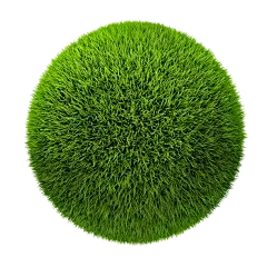 Best Organic Chlorella Powder Best Organic Chlorella Powder