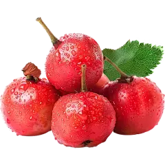 Deoxyarbutin Powder Deoxyarbutin Powder