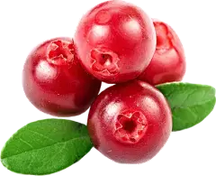 deoxyarbutin-powder deoxyarbutin-powder