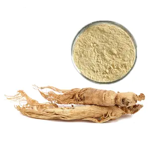 American Ginseng Extract Powder