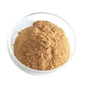 American Ginseng Extract Powder American Ginseng Extract Powder
