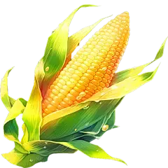 Xylooligosaccharide Xylooligosaccharide