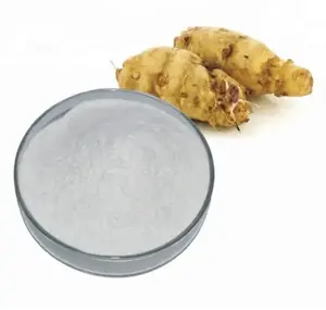 Organic Inulin Powder Bulk Organic Inulin Powder Bulk