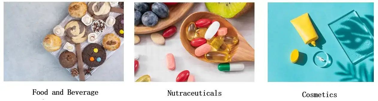 Application of Pure Inulin Powder Application of Pure Inulin Powder