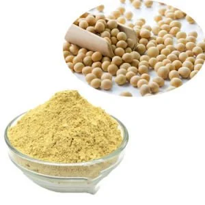 soybean extract soybean extract