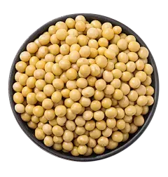 soybean extract soybean extract