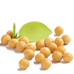 Organic Soybean Extract Organic Soybean Extract