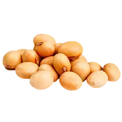 soybean extract soybean extract