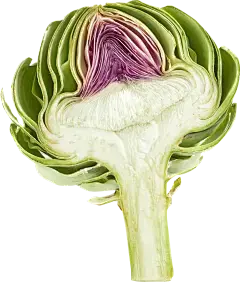 artichoke extract powder artichoke extract powder