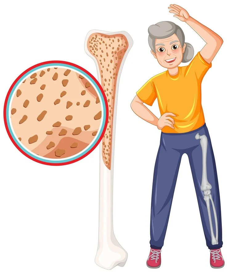 Genistein Extract for Stronger Bones