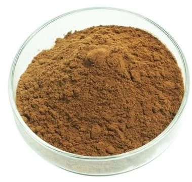Dandelion Root Extract Powder Dandelion Root Extract Powder