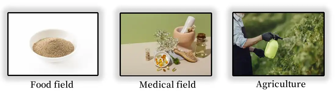 Application of Piperine Powder Application of Piperine Powder