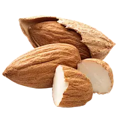 almond powder almond powder