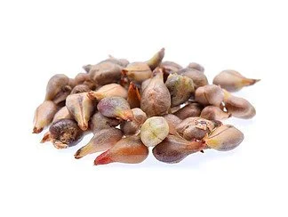 Organic Grape Seed Powder Organic Grape Seed Powder