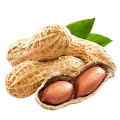 Luteolin powder Luteolin powder