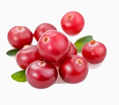 Deoxyarbutin Powder Deoxyarbutin Powder