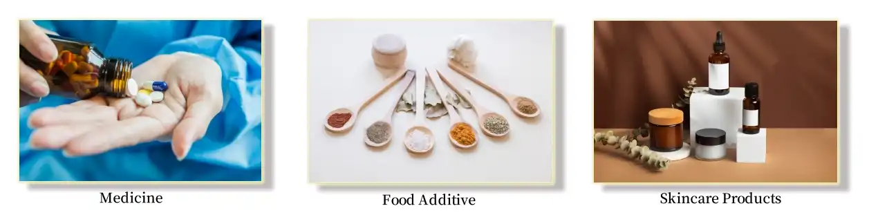 Piperine Extract Powder Piperine Extract Powder