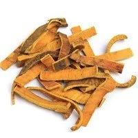 Phellodendron Extract Phellodendron Extract