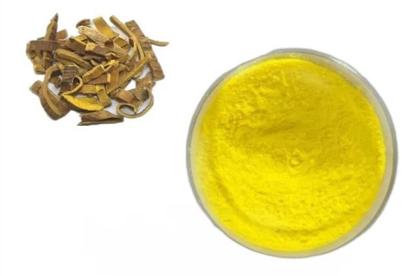 phellodendron extract