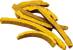 Phellodendron Extract Phellodendron Extract